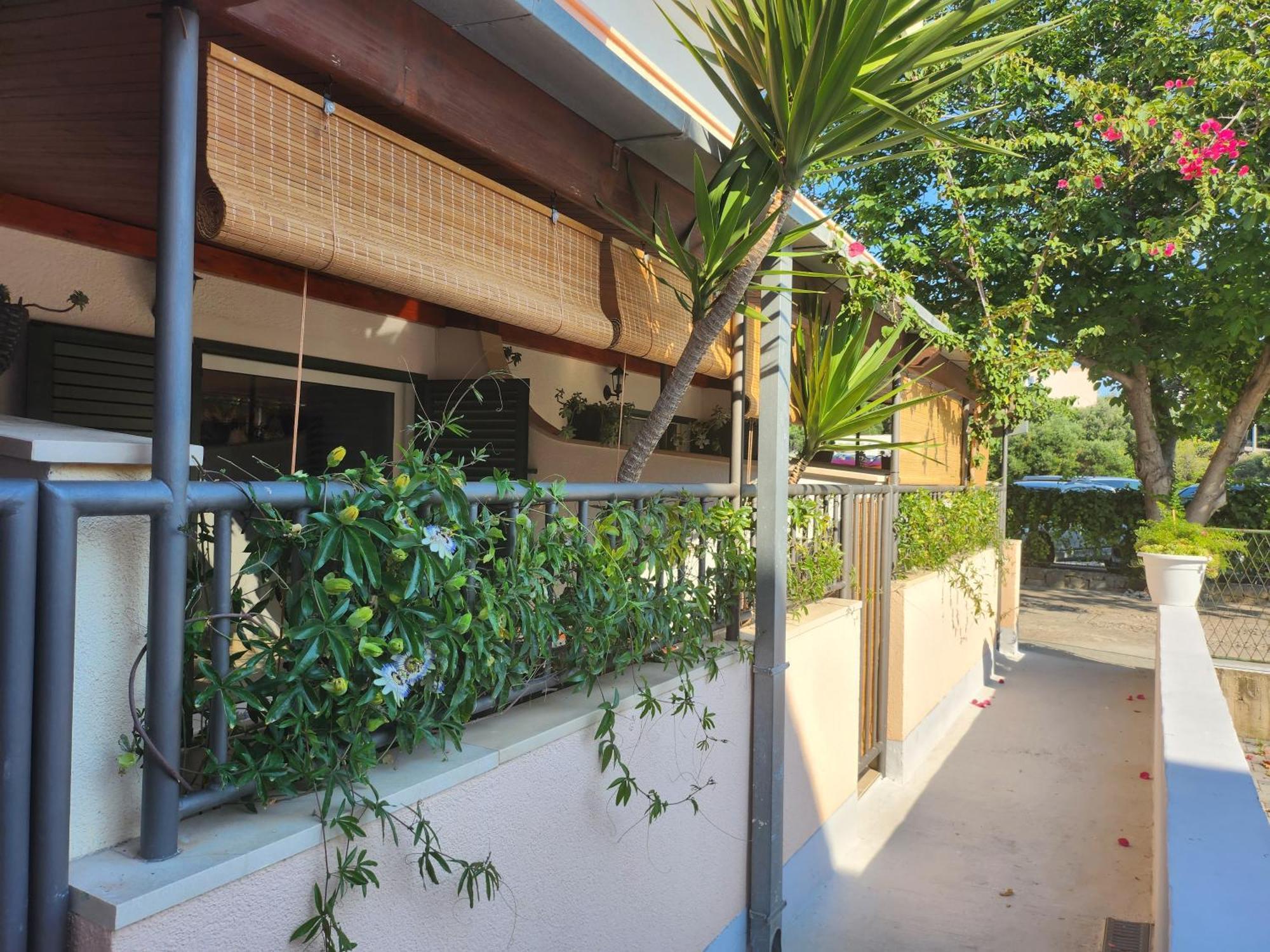 Apartmani Dijana 伯德古拉 外观 照片