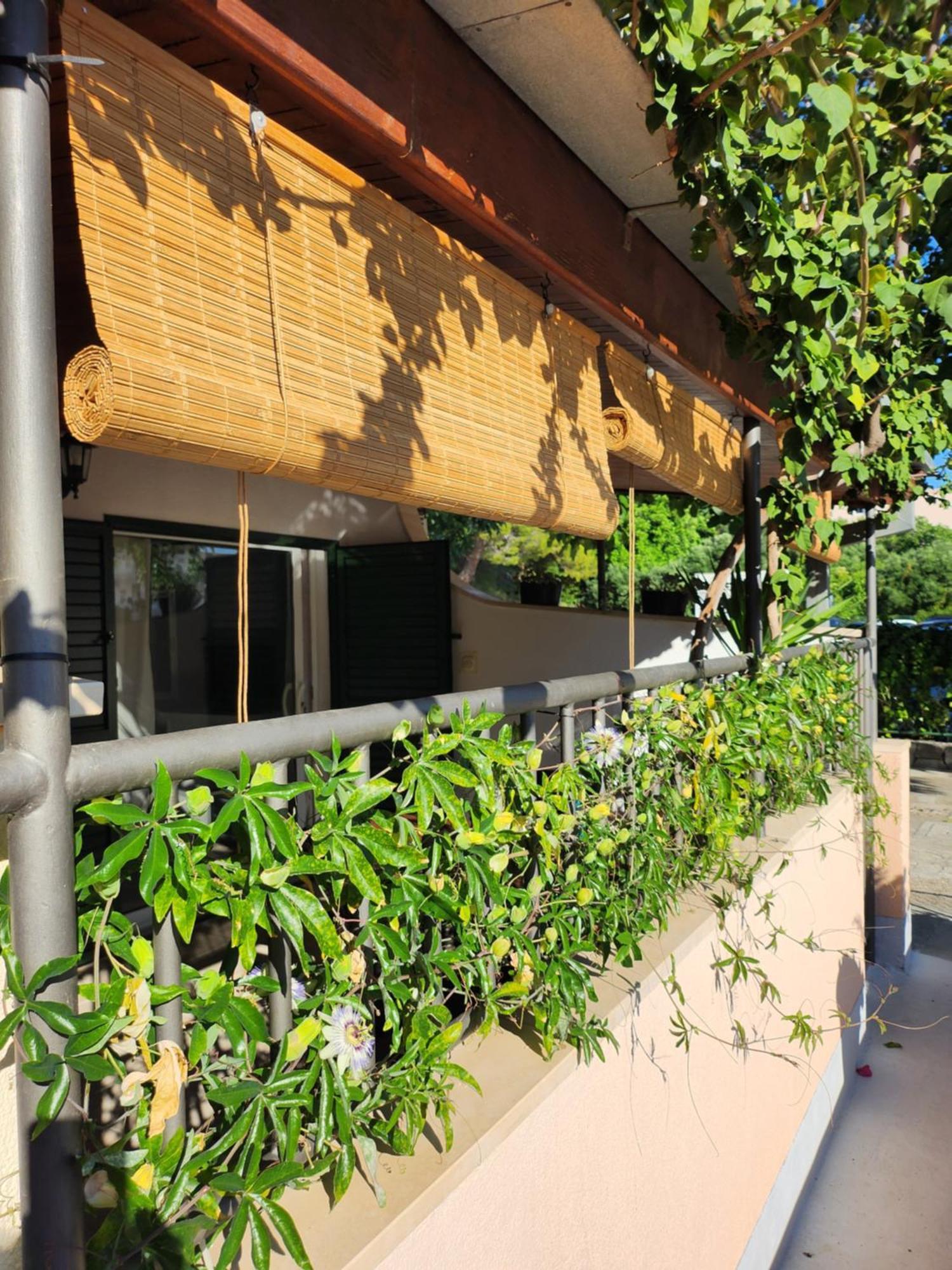 Apartmani Dijana 伯德古拉 客房 照片